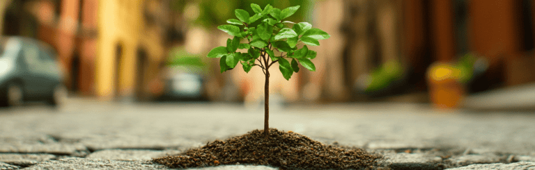 Urban Tree Survival_Land