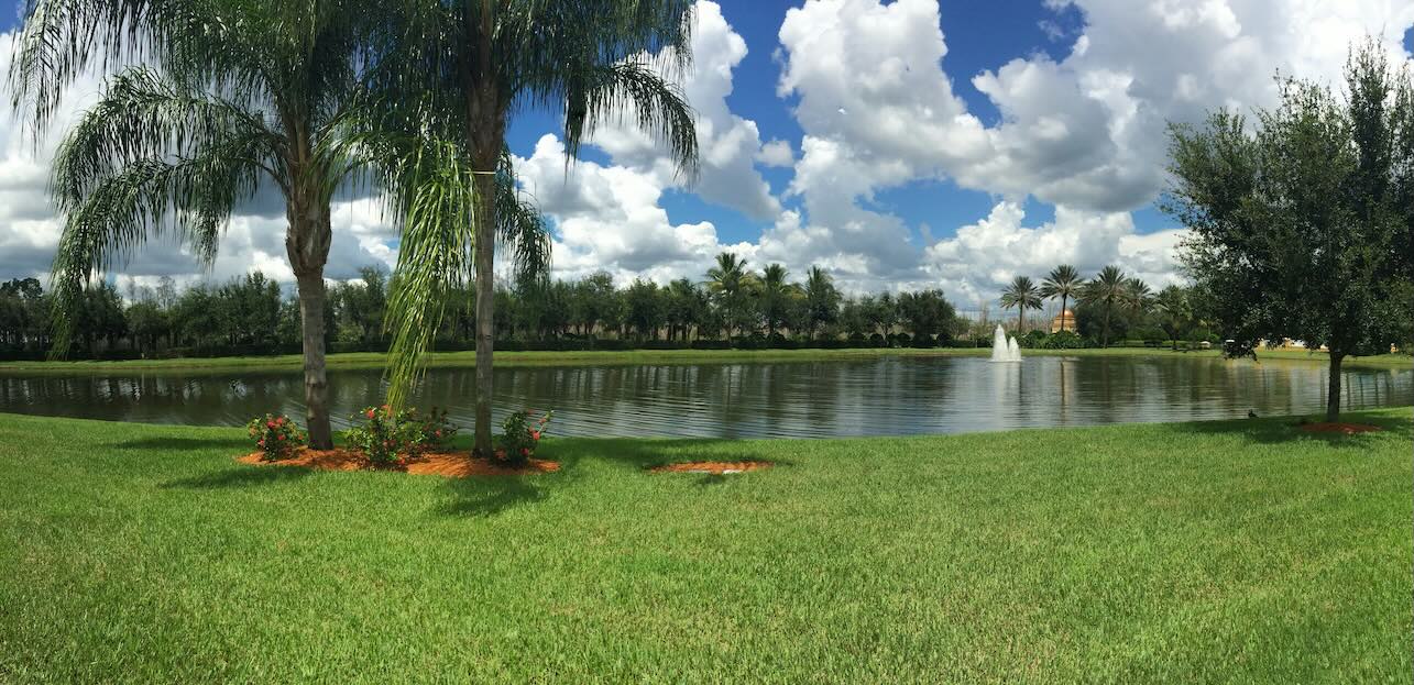 commercial landscaping spring hill florida branch
